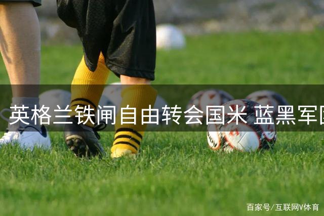英格兰铁闸自由转会国米 蓝黑军团迎来后防强援